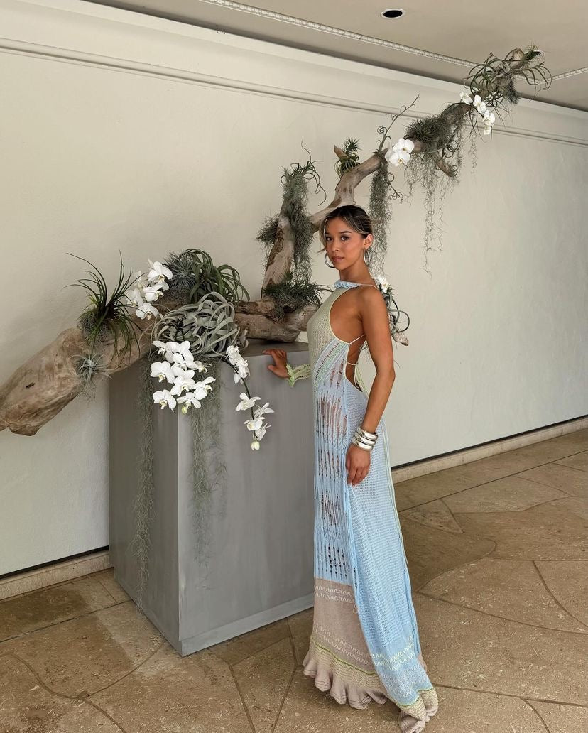Roberta Einer Bianca Maxi Dress