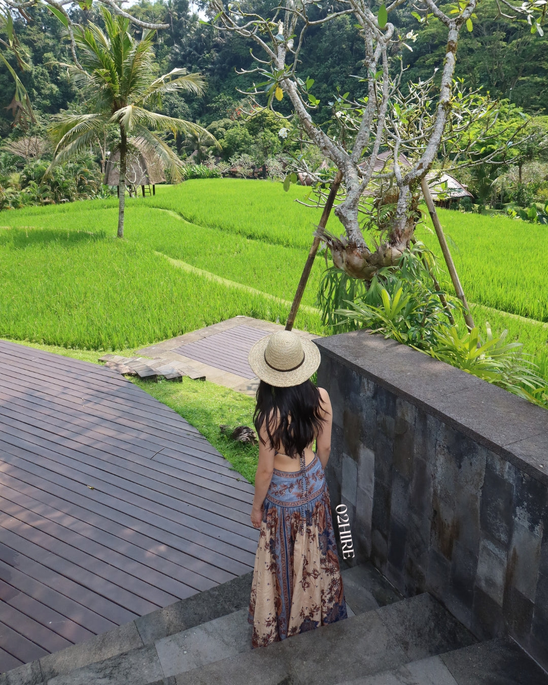 Zimmermann Ascension Plunge Halter Maxi Dress