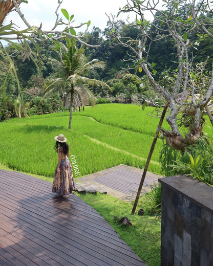 Zimmermann Ascension Plunge Halter Maxi Dress